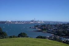 Auckland Private Luxury Tours
